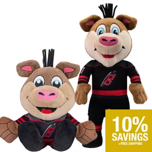 Carolina Hurricanes Stormy Mascot Bundle: 10" Plush Figure & Kuricha Plushie